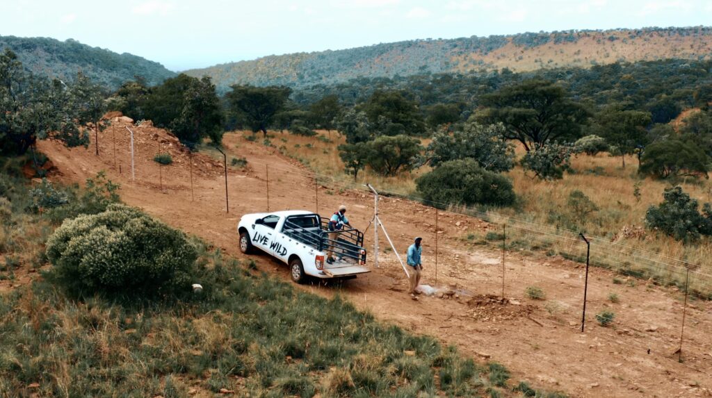 A car with the print "LIVE WILD" is parked in the wild close to a fence. Two workers are working building the fence.